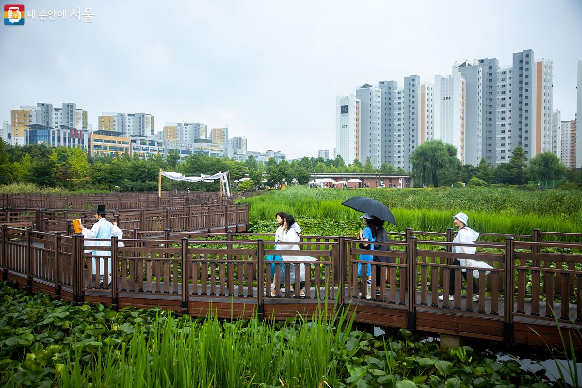 조선시대의 선비와 함께 수생식물원 데크길을 걸으며 푸른수목원의 매력을 즐기고 있는 참가자들 ⓒ임중빈