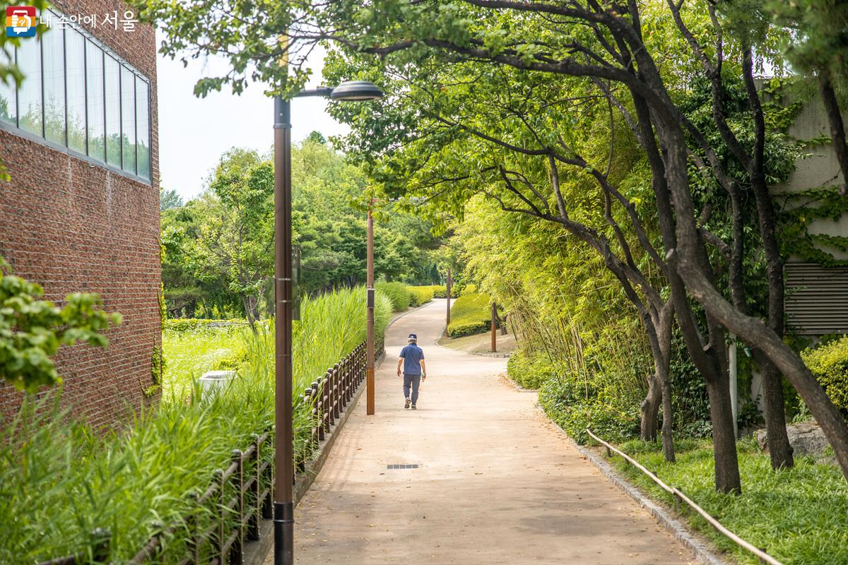 선유정수장의 옛 모습과 친환경 생태공원으로 변신한 선유도공원 각각의 특징을 모두 지니고 있어 사진작가들에게 인기가 많은 곳이다. ⓒ임중빈