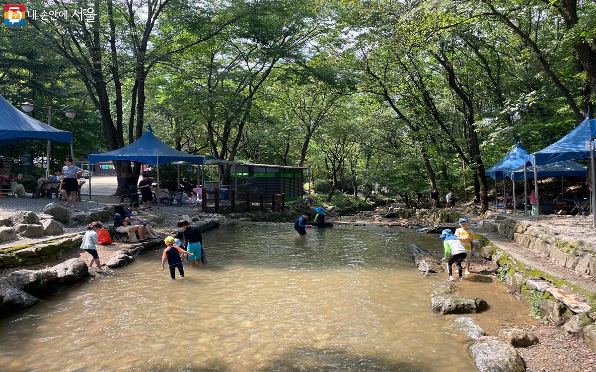 시원한 물놀이를 하며 무더운 여름을 보내고 있다. ©노윤지