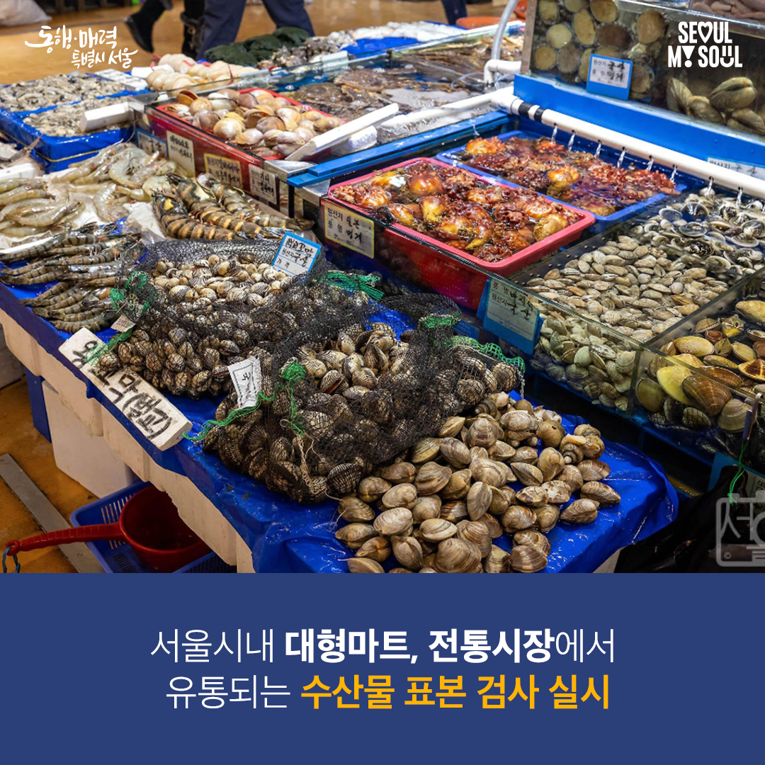 서울시내 대형마트, 전통시장에서 유통되는 수산물 표본 검사 실시