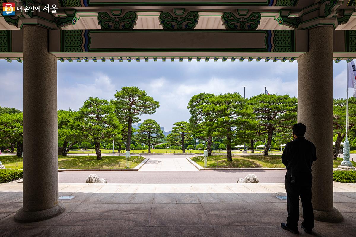 본관 현관에서 남면한 모습으로 현관 프레임 속에 멋진 소나무들을 볼 수 있다 ⓒ양인억