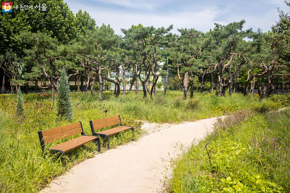 울창한 나무 사이를 산책하며 중간중간 벤치에서 쉬어갈 수 있는 구조로 되어 있다. ⓒ임중빈