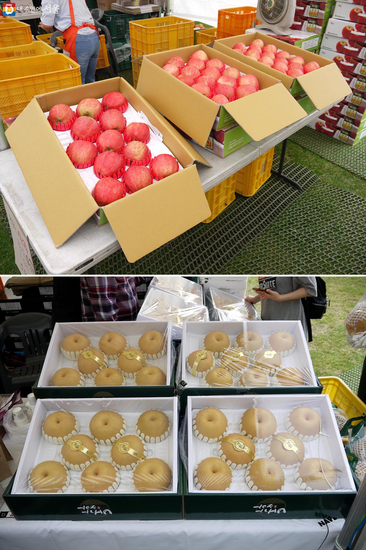 추석 선물용으로 구입하기 좋은 다양한 과일을 판매했다. 충북 충주시의 홍로 사과(위), 전남 나주시의 배(아래) ©최윤영