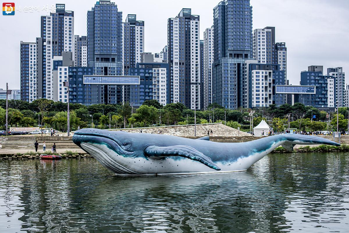드라마 '이상한 변호사 우영우' 속 혹등고래가 세빛섬 앞에 전시되어 있다. ©유서경