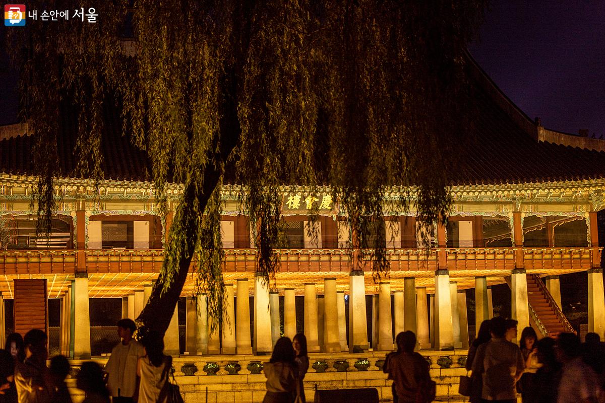 경회루의 정면에서 멋진 수양버늘나무와 함께 멋진 야경을 감상하고 있는 관람객들 ©임중빈