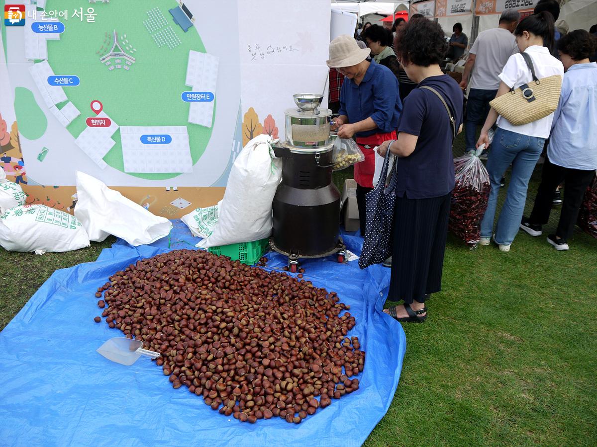 충남 공주의 햇밤을 깎아서 판매했다. ©최윤영