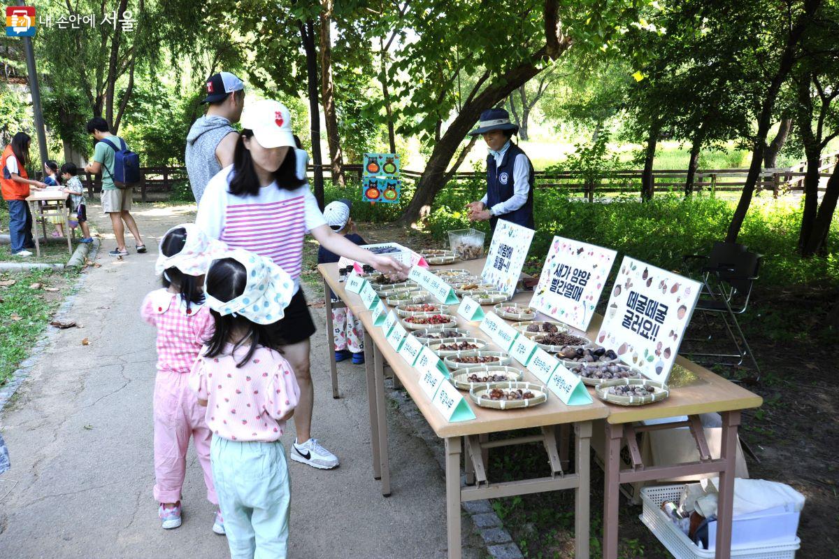 각종 나무 열매를 만져 보고 통 속에 넣고 흔들어 소리도 들어 보는 체험 학습을 하는 어린이들 ⓒ조수봉