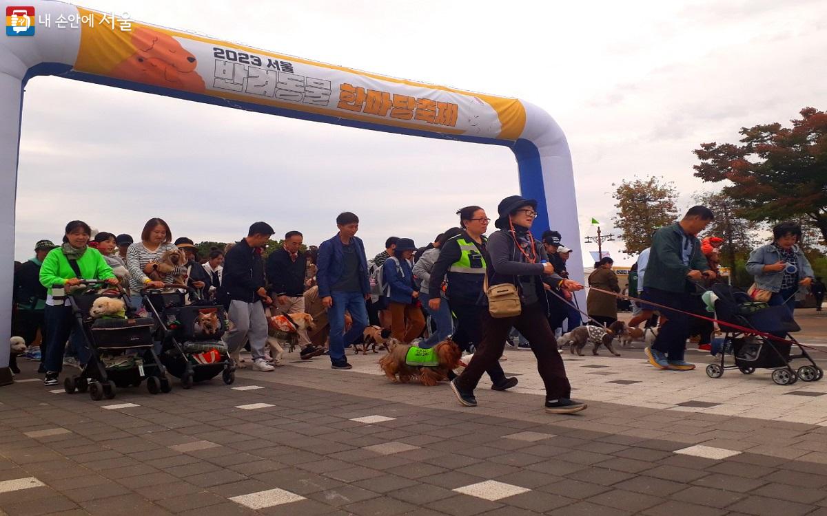 10월 8일 마포구 월드컵공원 평화의 광장에서 ‘2023 서울 반려동물 한마당 축제’가 열렸다. ©엄윤주