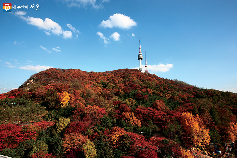 서울시가 가을 정취를 즐길 수 있는 ‘서울 단풍길 99선’을 선정했다.