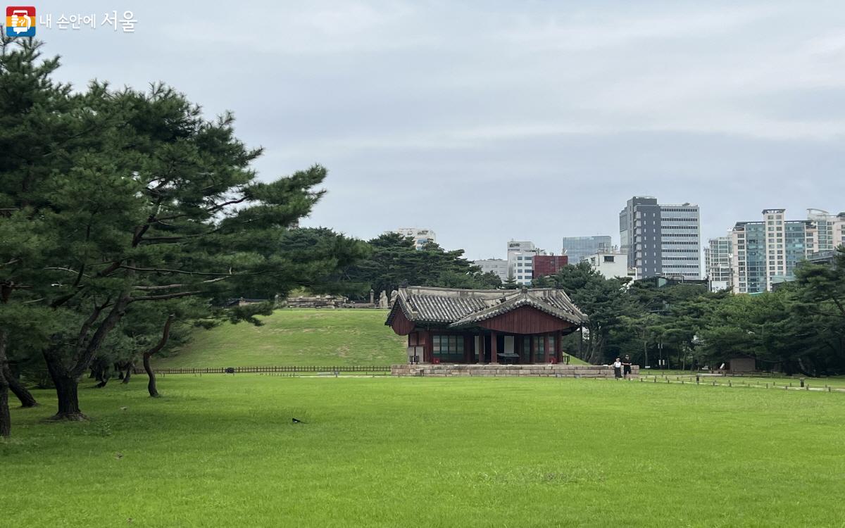 선정릉의 정릉 능침. 정자각 뒤로 봉분과 석물이 보인다. ⓒ박지영 