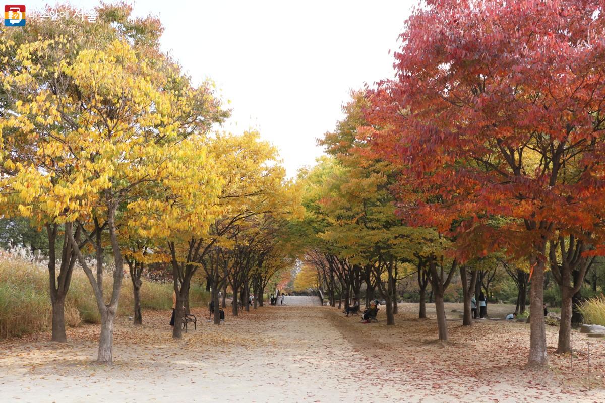 서울창포원에 가을이 찾아왔다. Ⓒ강사랑