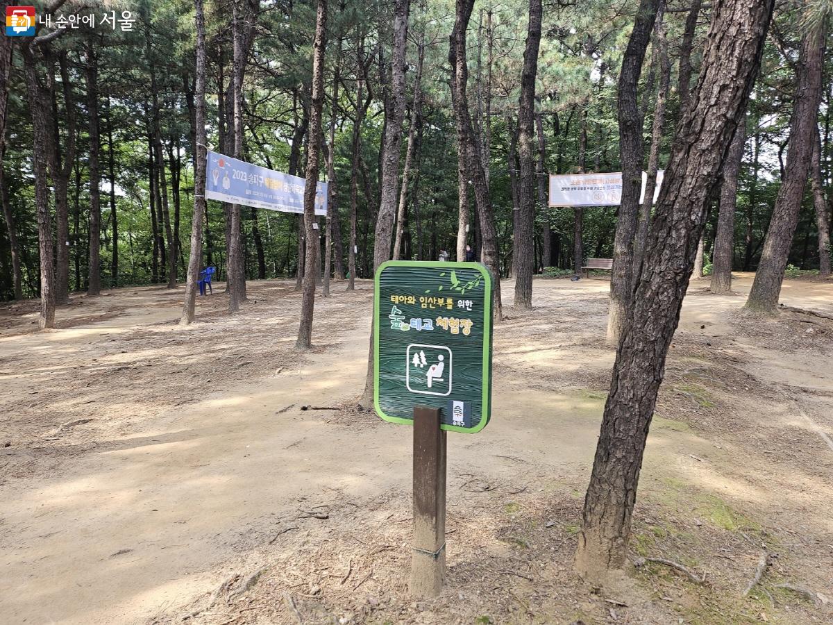 태아와 임산부를 위한 '숲 태교 체험장' ⓒ염지연