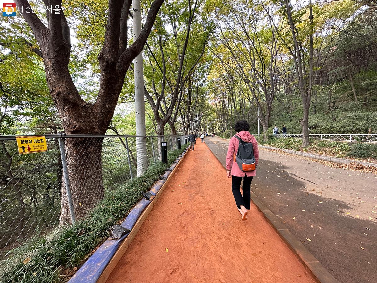 올여름 서대문구 안산에 조성된 황톳길 ⓒ김수정