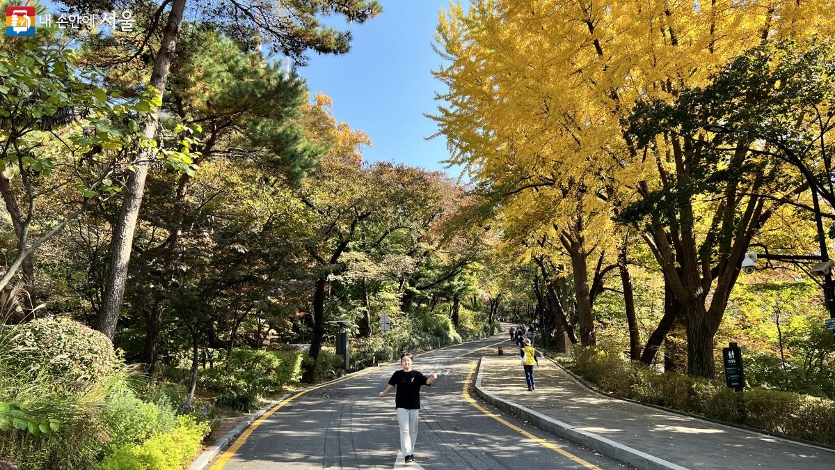 소소한 걷기 '도심순례! 성곽따라 N타워까지'로 서울의 단풍길에서 가을을 맞이했다. ©이준엽