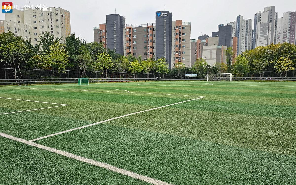축구장의 푸른 잔디가 잘 관리되고 있다. ©홍혜수