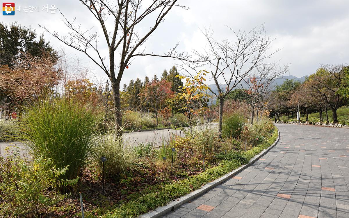 구절초동산 인근 산책로에 아름답게 조성된 화단이 눈과 마음을 즐겁게 해준다. ⓒ김아름