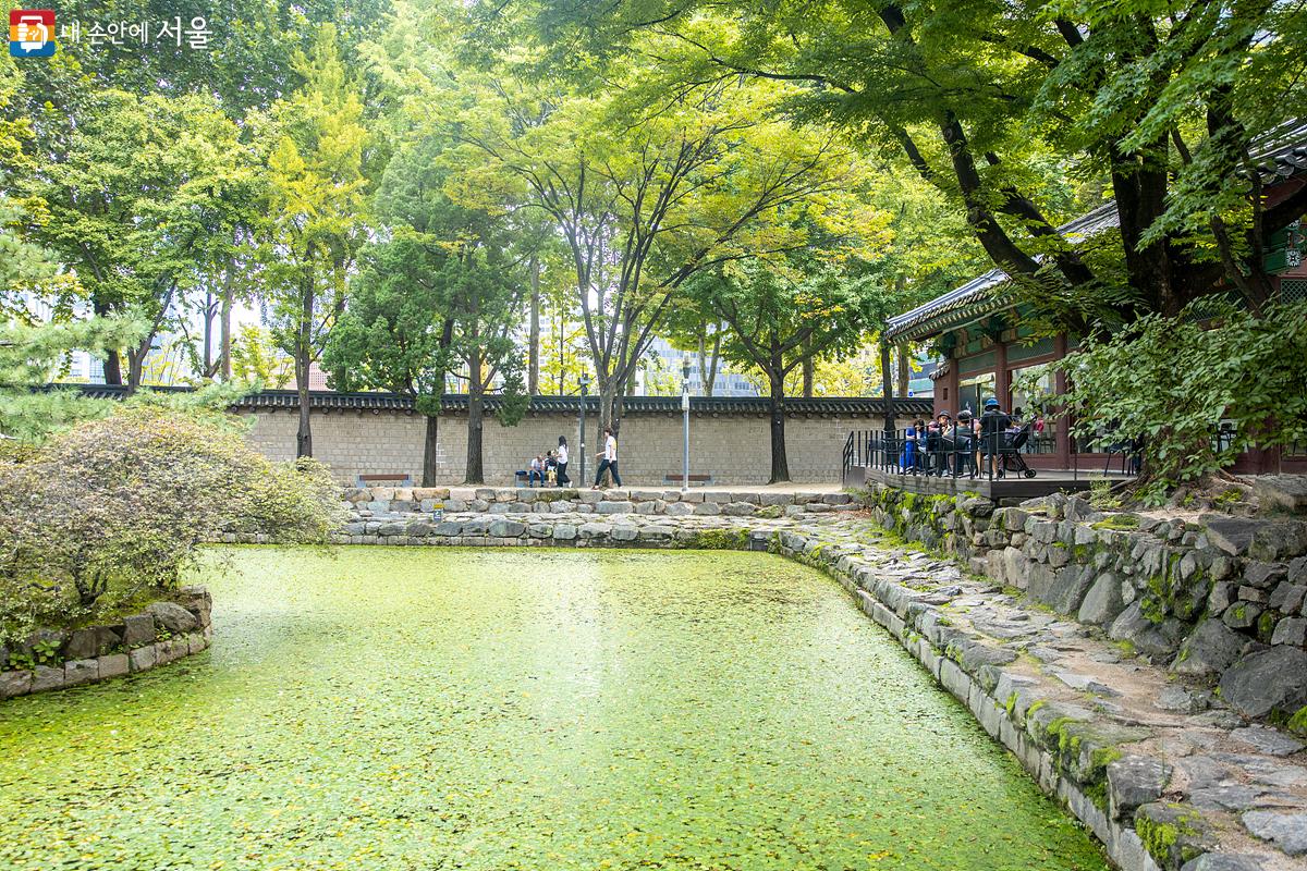 초가을 화창한 날씨 아래, 덕수궁 연못 주변에서 많은 시민들이 궁궐의 고즈넉한 풍경에 빠져 있다. ⓒ임중빈