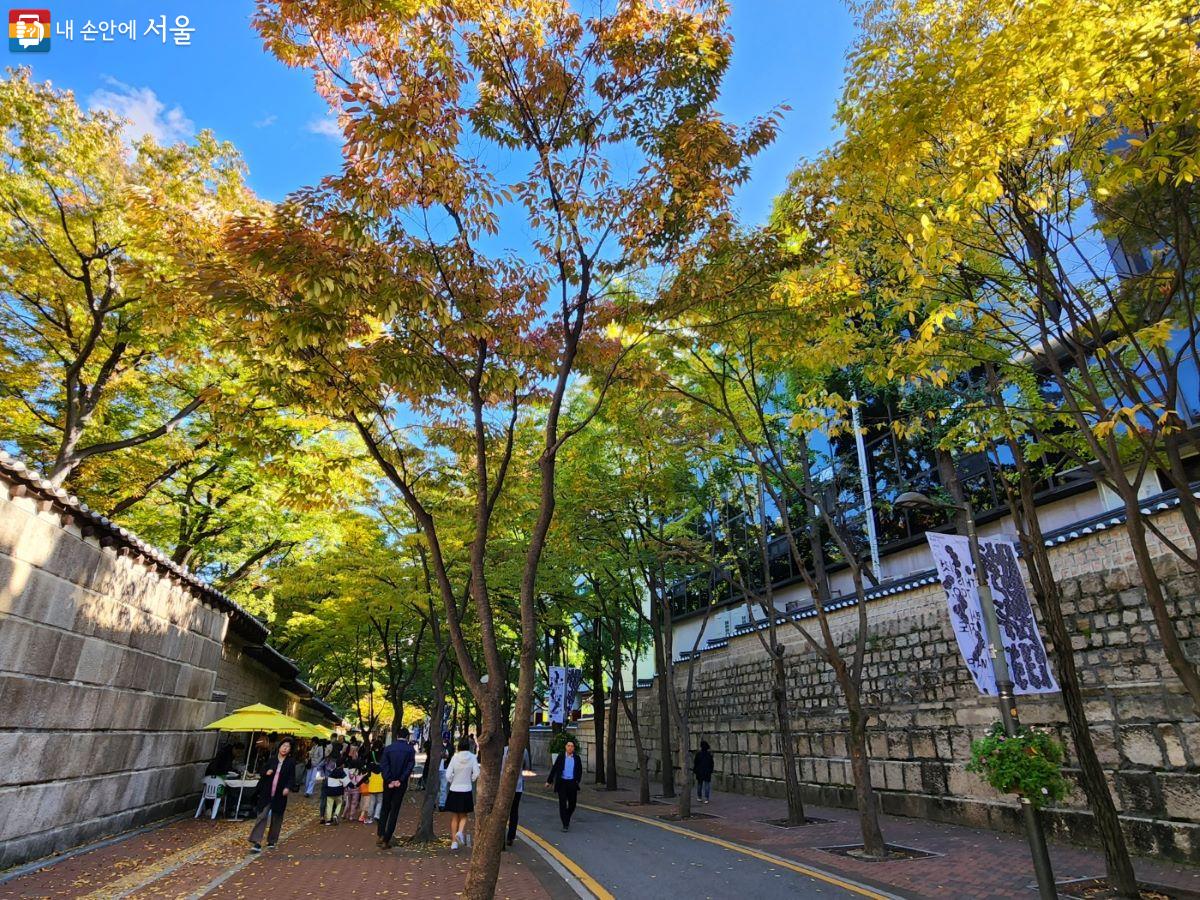 지금 정동길 곳곳을 거닐면 가로수에 단풍이 물들어가는 풍경을 볼 수 있다. ⓒ윤혜숙