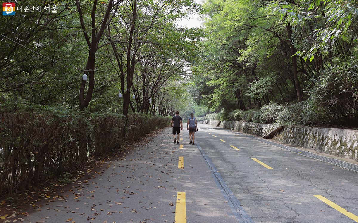 하늘공원 가는 길은 대체로 완만한 경사로로 가볍게 운동 삼아 걷기 좋다. ⓒ김아름