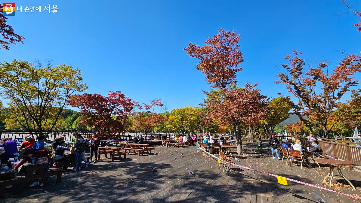 평일임에도 많은 시민들이 서울대공원을 찾아 가을을 느끼고 있다. ⓒ최용수