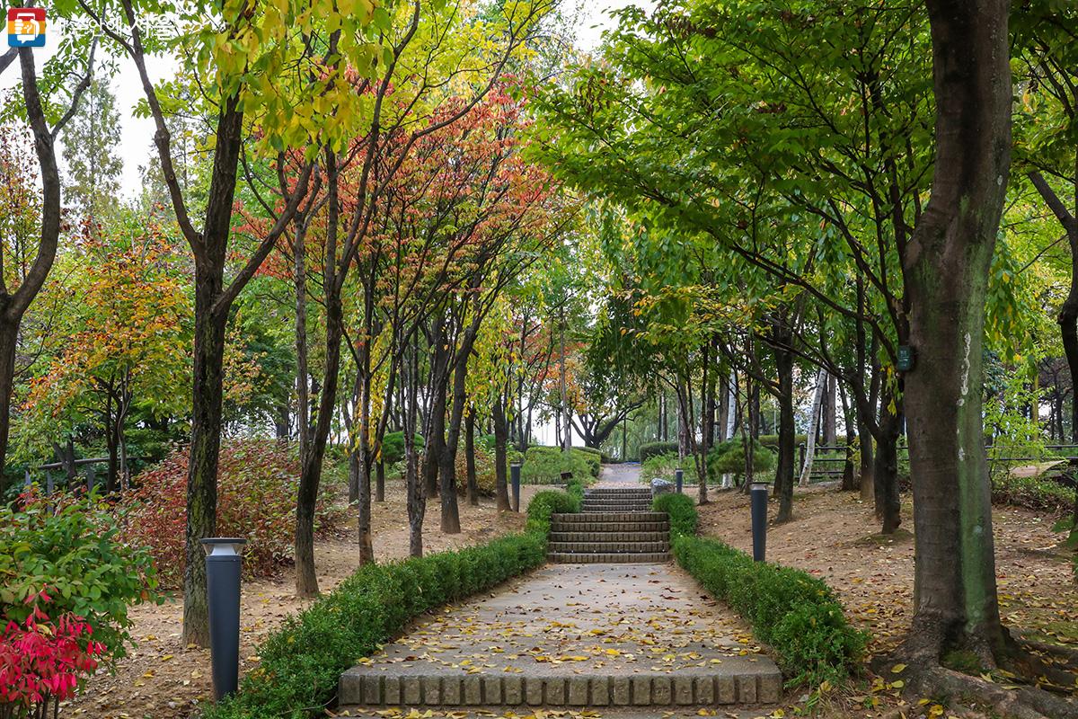 선유도공원도 가을로 익어 가고 있는 모습을 볼 수 있다. ⓒ유서경