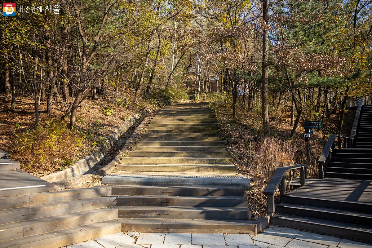 오패산, 벽오산에서 각각 분리되는 산책로는 모두 만날 수 있는 구조로 되어 있어 자신만의 산책로를 만들어 보는 재미도 쏠쏠하다. ⓒ임중빈