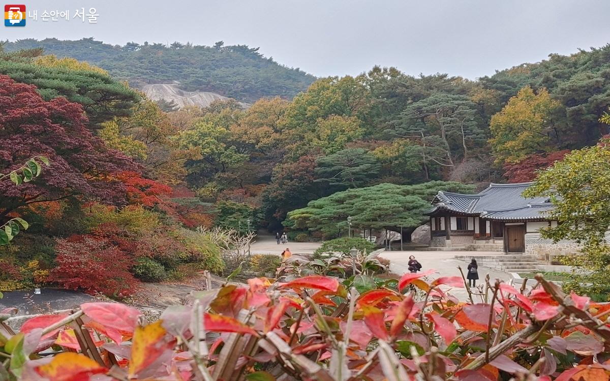 석파정 서울미술관 옥상에서 바라다본 흥선대원군의 별서와 천세송 ©김창일