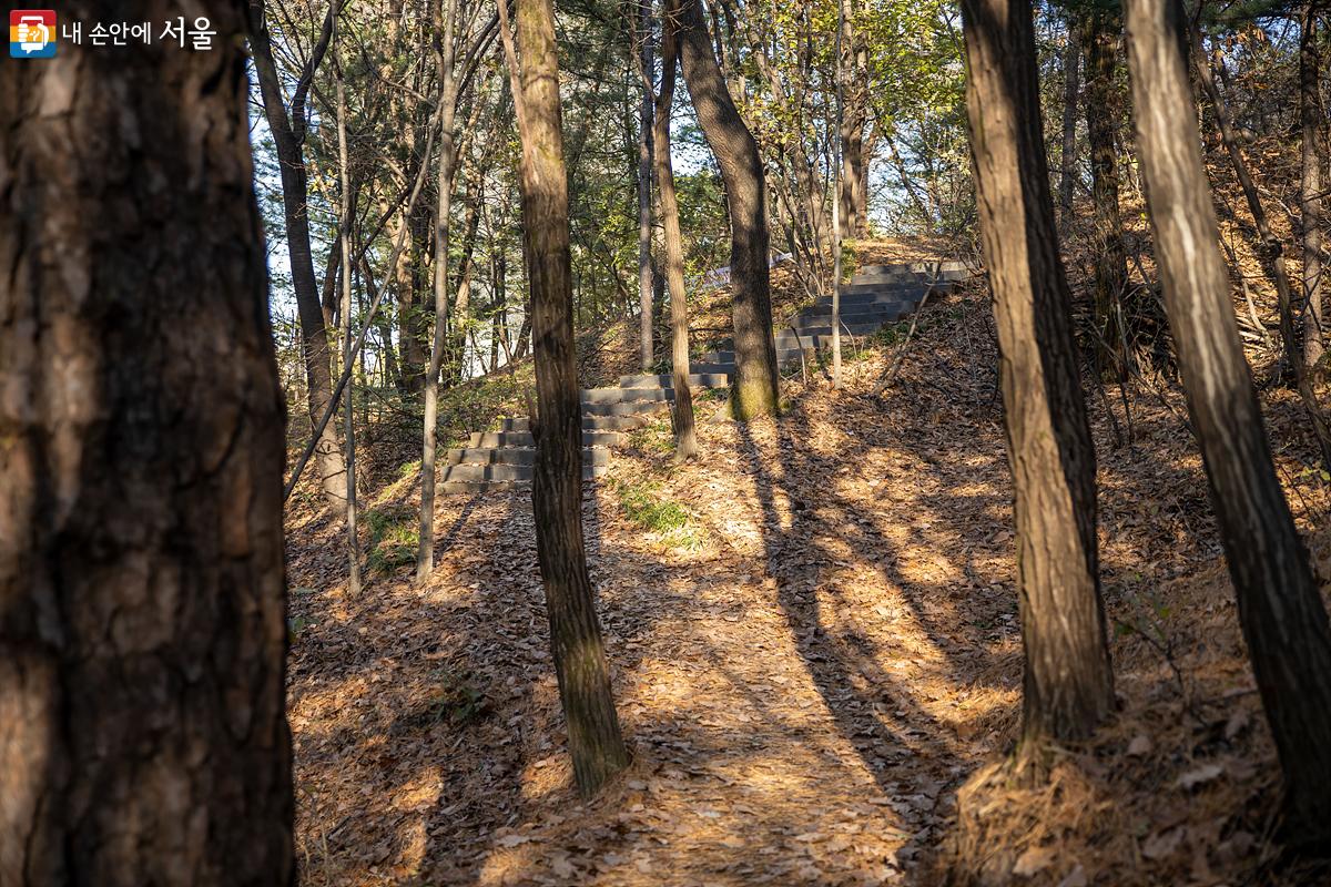 동서의 주출입구는 물론 주변의 주택 단지, 산책로 등과 연결된 총 17개의 출입구를 통해 둘레길을 바로 이용하거나 '북서울꿈의숲'으로 쉽게 진입이 가능하다. ⓒ임중빈