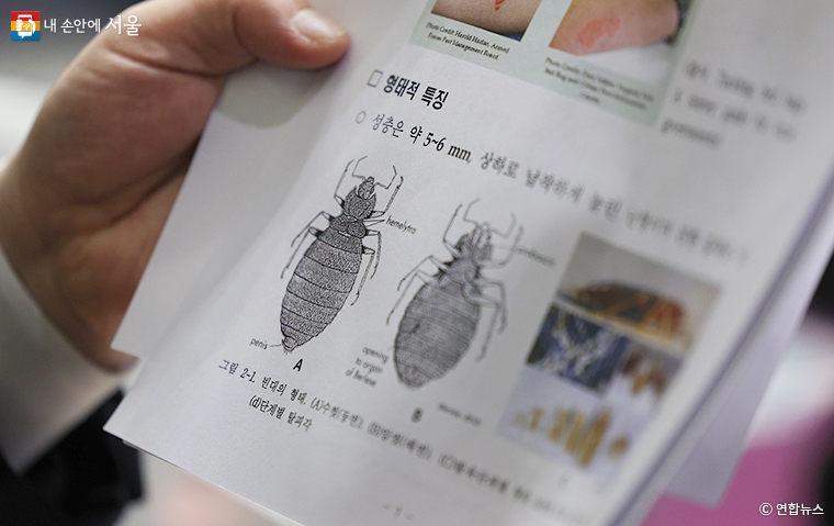 최근 빈대 출현 사례 발생으로 서울시가 ‘빈대 제로도시’ 대책을 추진하고 있다. 사진은 국내 한 점검 현장.