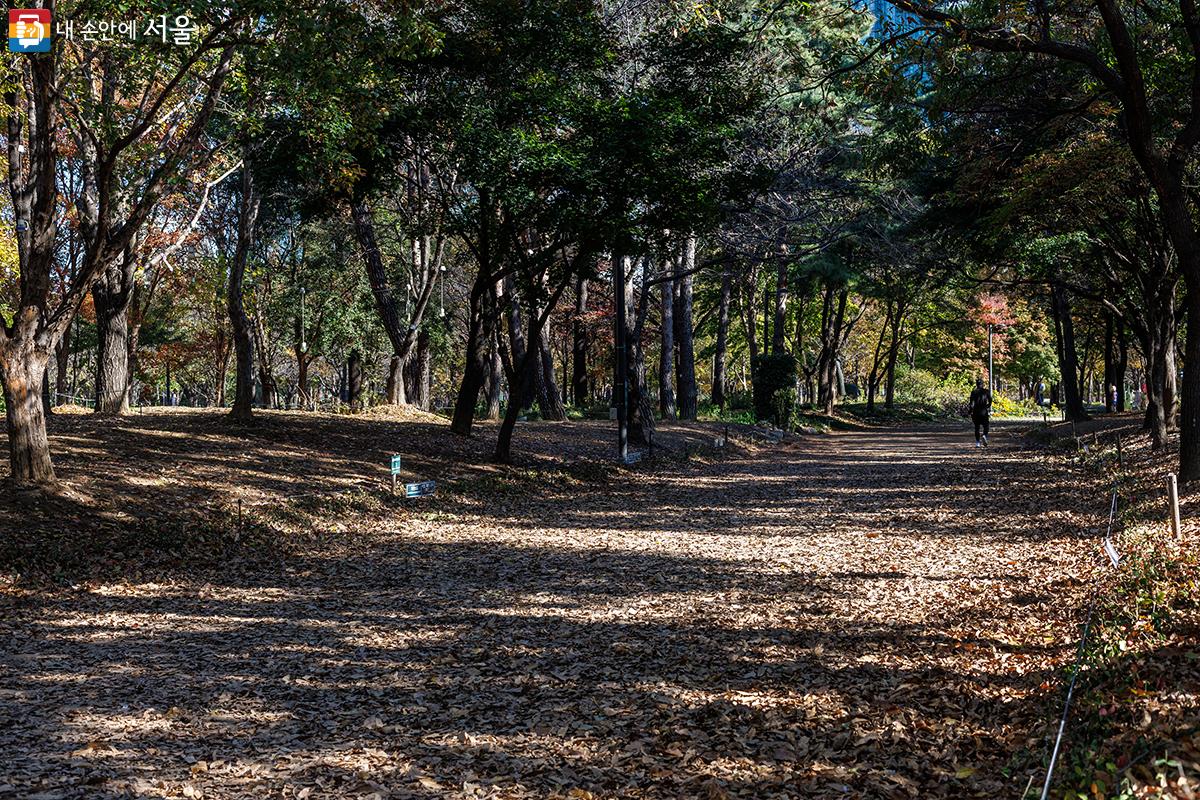 서울숲 한켠에는 아직 여름인 듯한 모습도 남아 있었다. ⓒ유서경