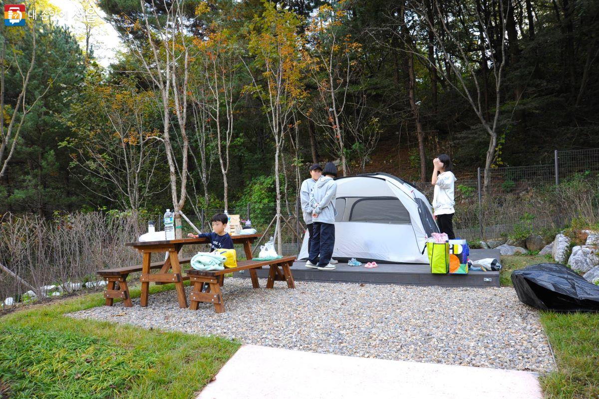 한 개의 캠핑 사이트당 이용할 수 있는 정원은 기본 4인 이하로 운영된다. ©조수봉