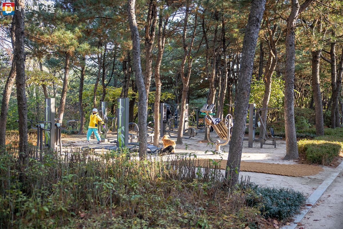 오동공원(오패산) 구간의 둘레길 코스는 지역 주민들이 평상시에도 자주 이용하는 구간이다. ⓒ임중빈