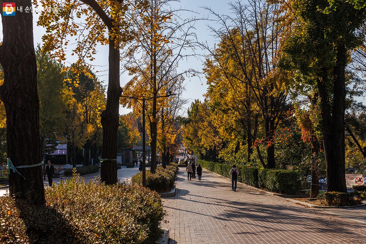 광진구 서울어린이대공원에도 가을 단풍이 물씬 풍긴다. ⓒ유서경