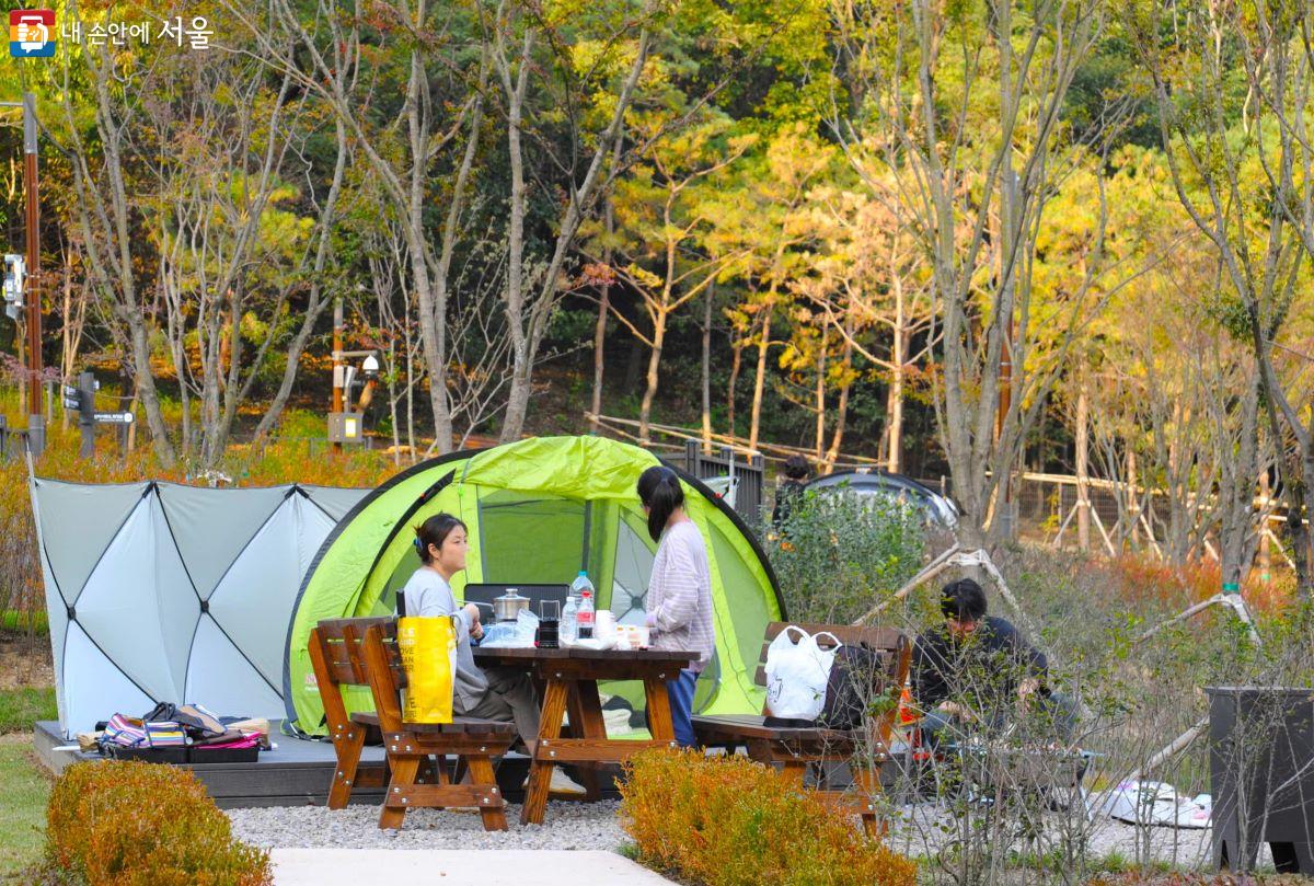 일반 캠핑 사이트에서 캠핑을 즐기고 있는 가족 ©조수봉