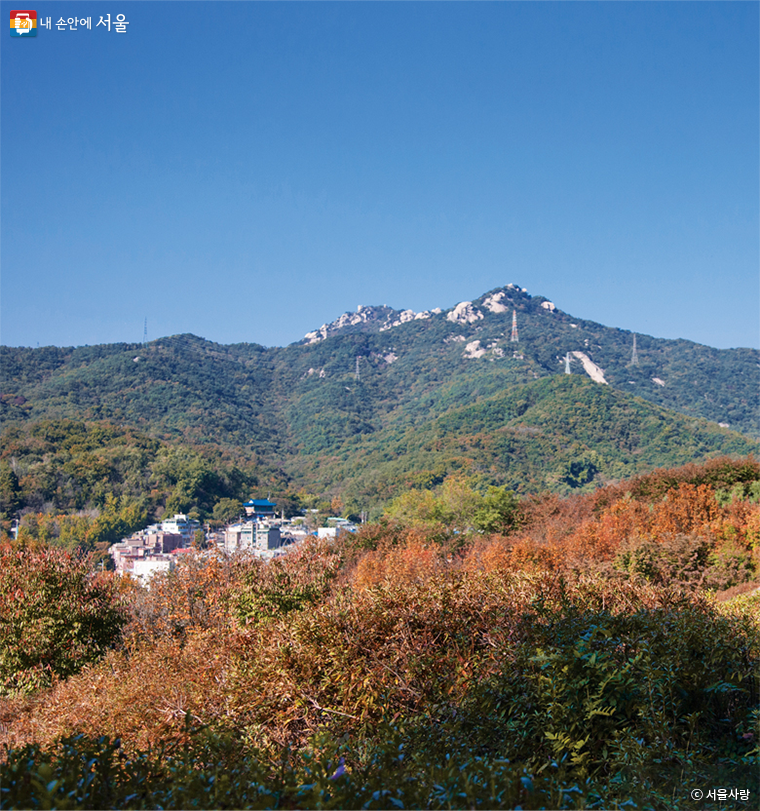 널찍한 상계동(나들이) 철쭉동산