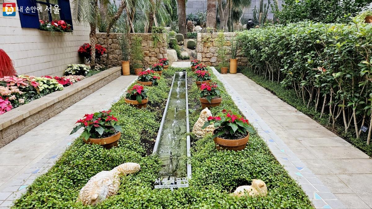 알람브라 궁전 같은 작은 정원에도 포인세티아가 장식됐다. ⓒ이선미 