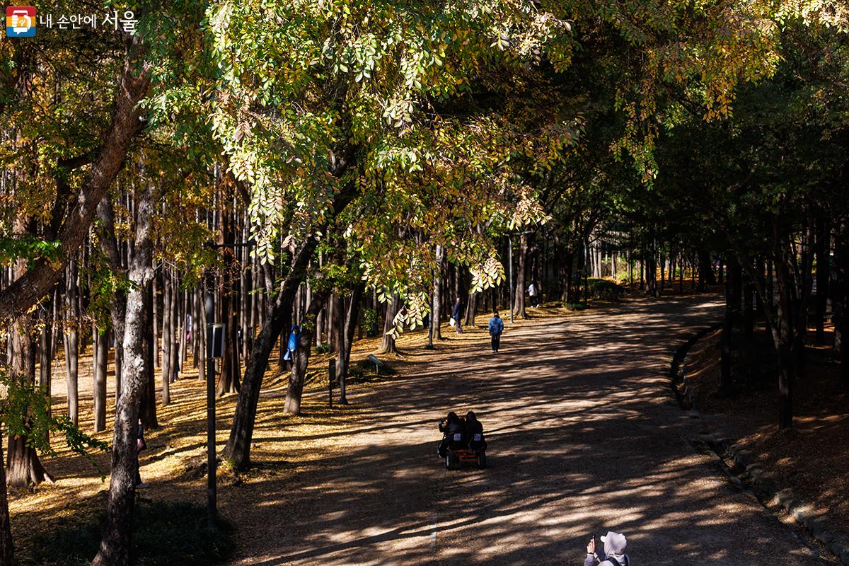 서울숲에서 가을을 즐기는 시민들의 모습 ⓒ유서경