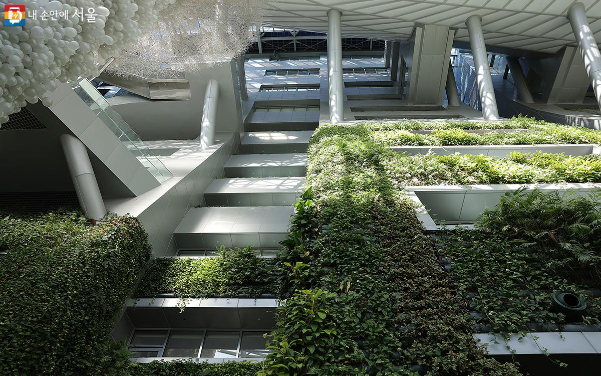 7층 높이의 벽면을 가득 덮은 약 6만 5,000본의 식물들은 여름철 실내 온도 저감과 공기정화 등 쾌적한 실내 공간 조성에 긍정적인 역할을 하고 있다. ⓒ김아름