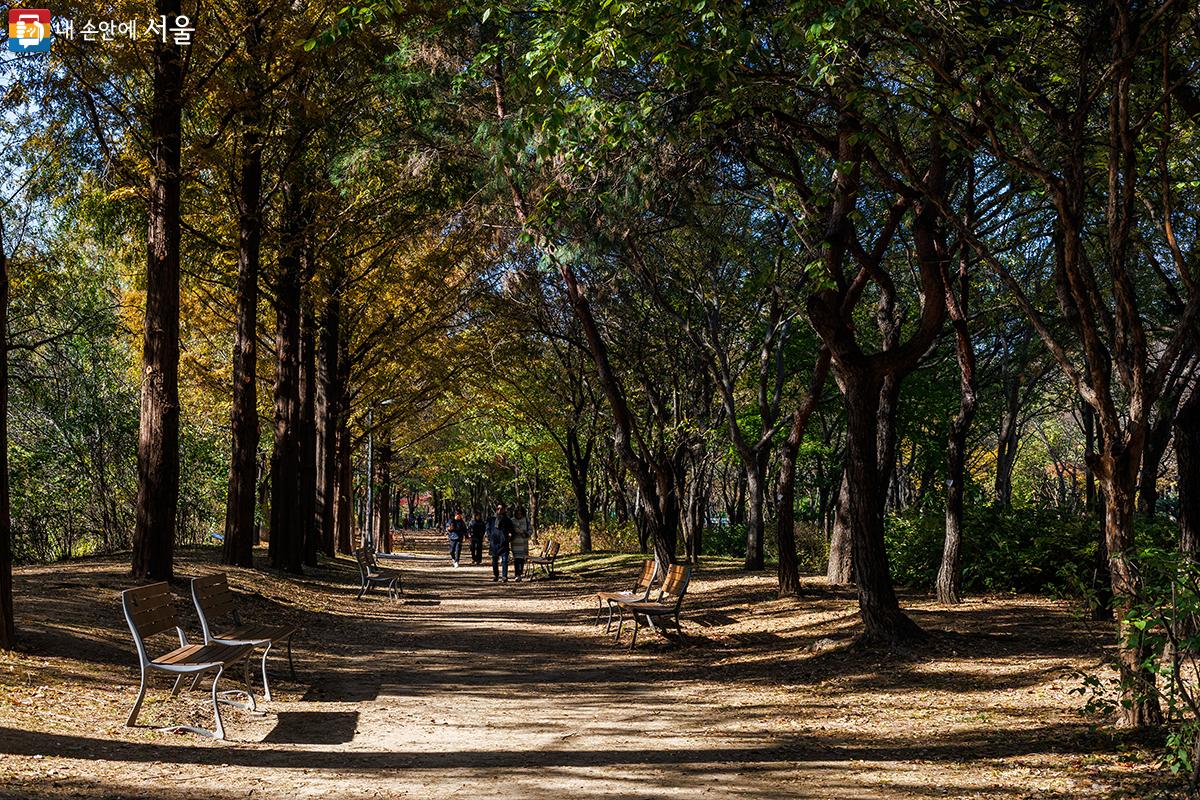 서울숲에서 가을 단풍을 즐기는 시민들의 모습 ⓒ유서경