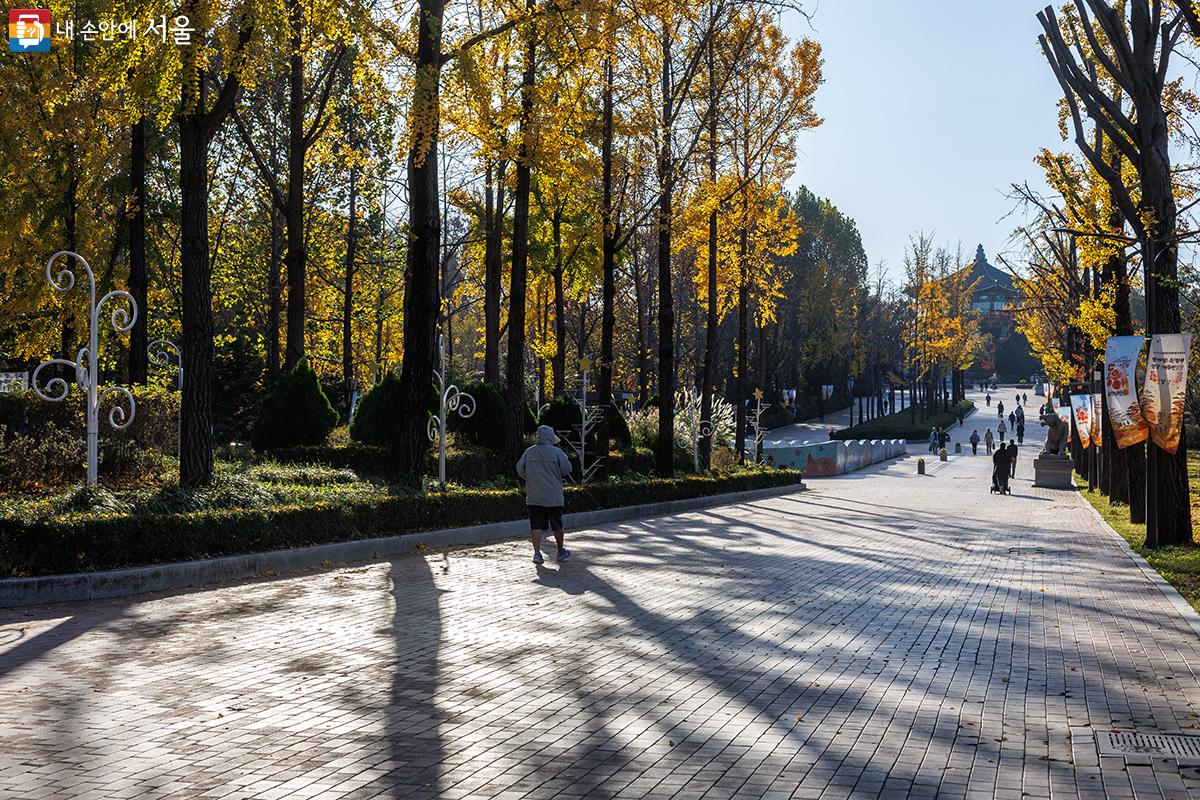 서울어린이대공원 한켠에도 노란 단풍잎이 많이 떨어져 있어 떠나는 가을이 아쉽기만 하다. ⓒ유서경