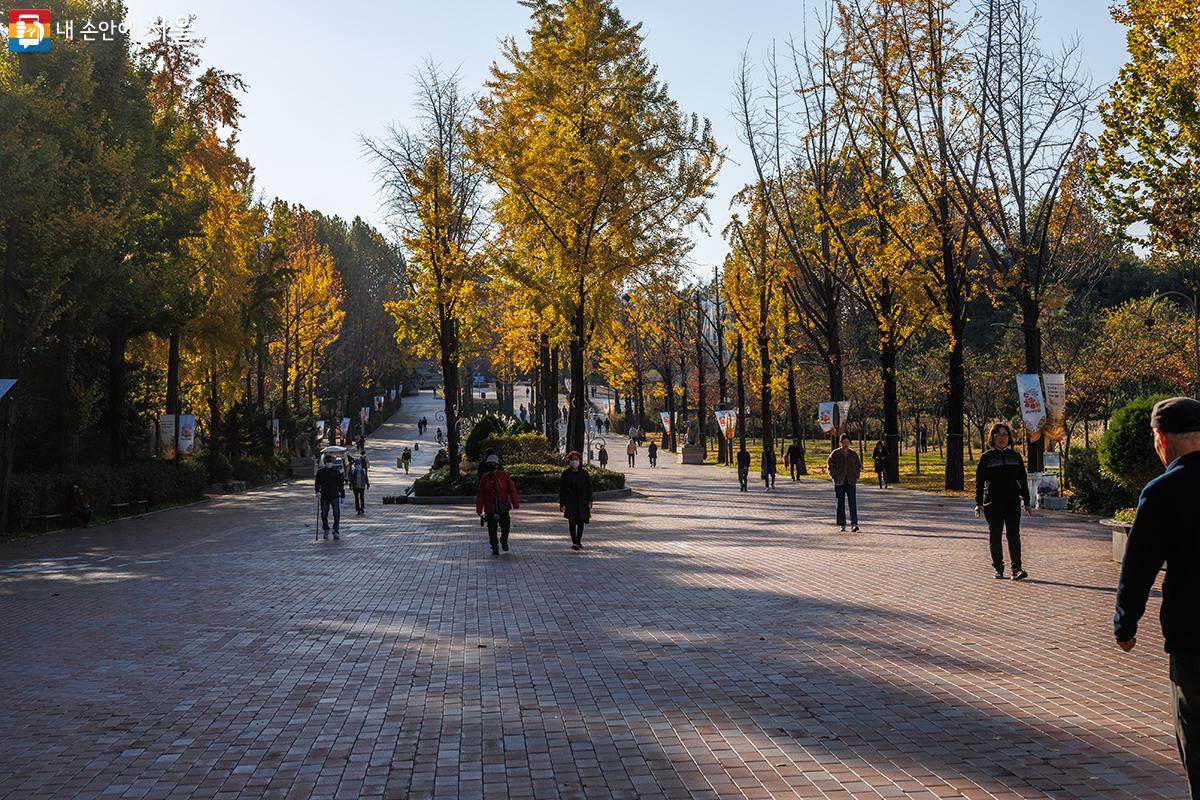 서울어린이대공원에서 가을 단풍을 즐기는 시민들 모습 ⓒ유서경