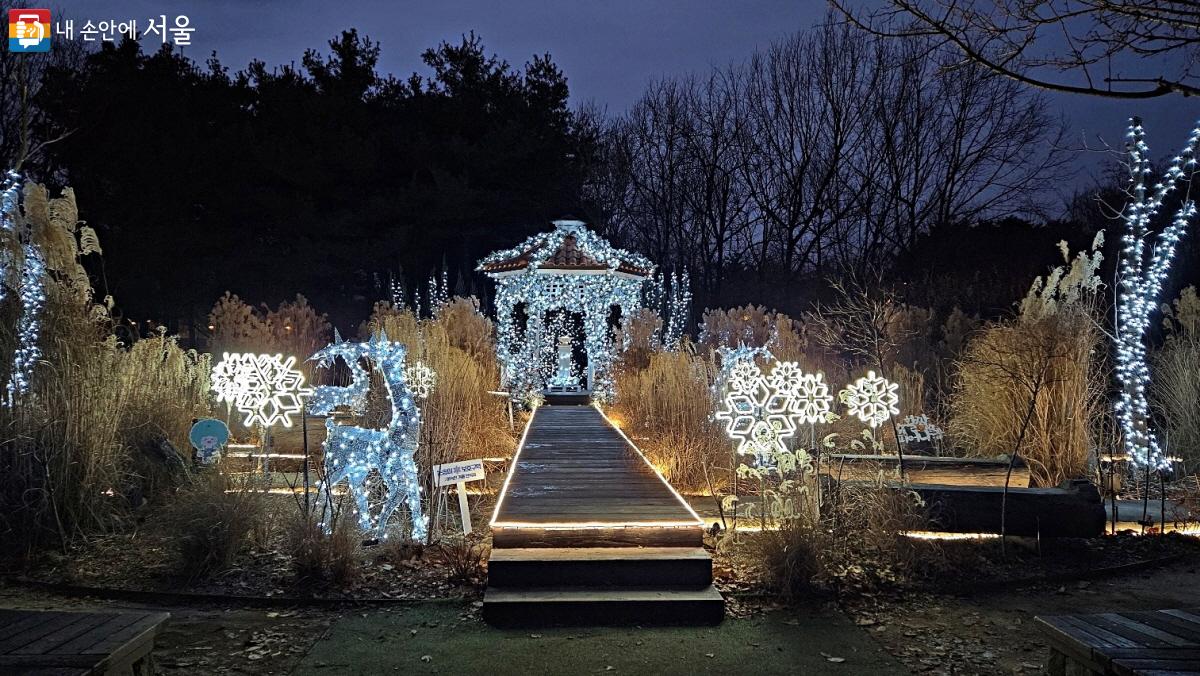 서울숲 설렘정원에도 겨울빛이 가득하다. ©이선미 
