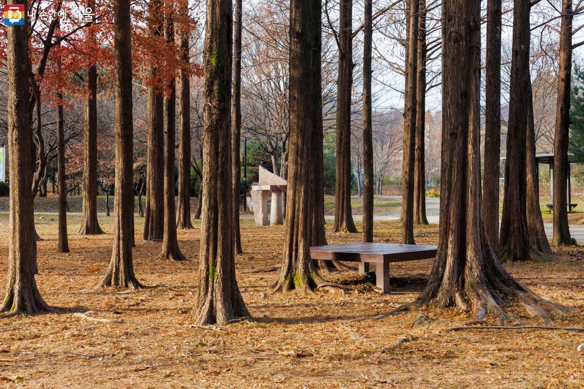 울창한 나무에 둘러싸인 문화예술공원 ©유서경