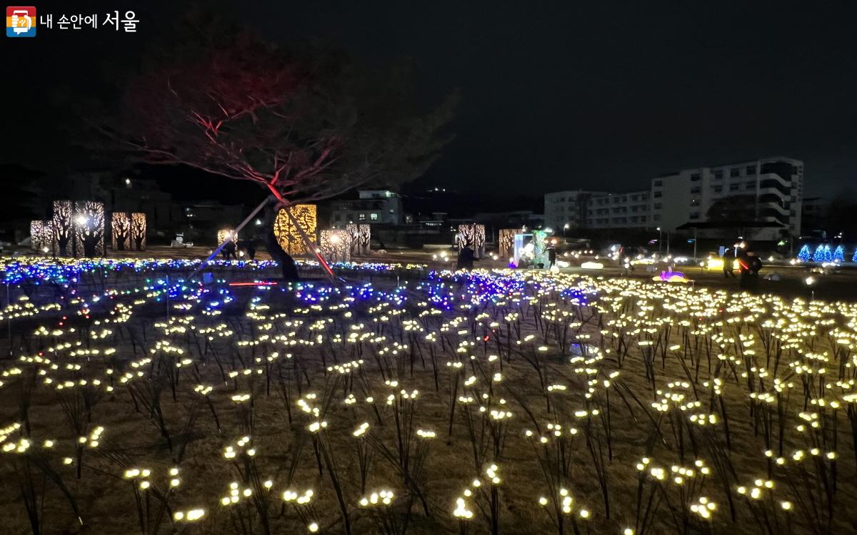 솔빛축제에 설치된 조명들은 최대한 지형과 주변에 맞게 설치되어 은은한 매력이 있다. ⓒ박지영 