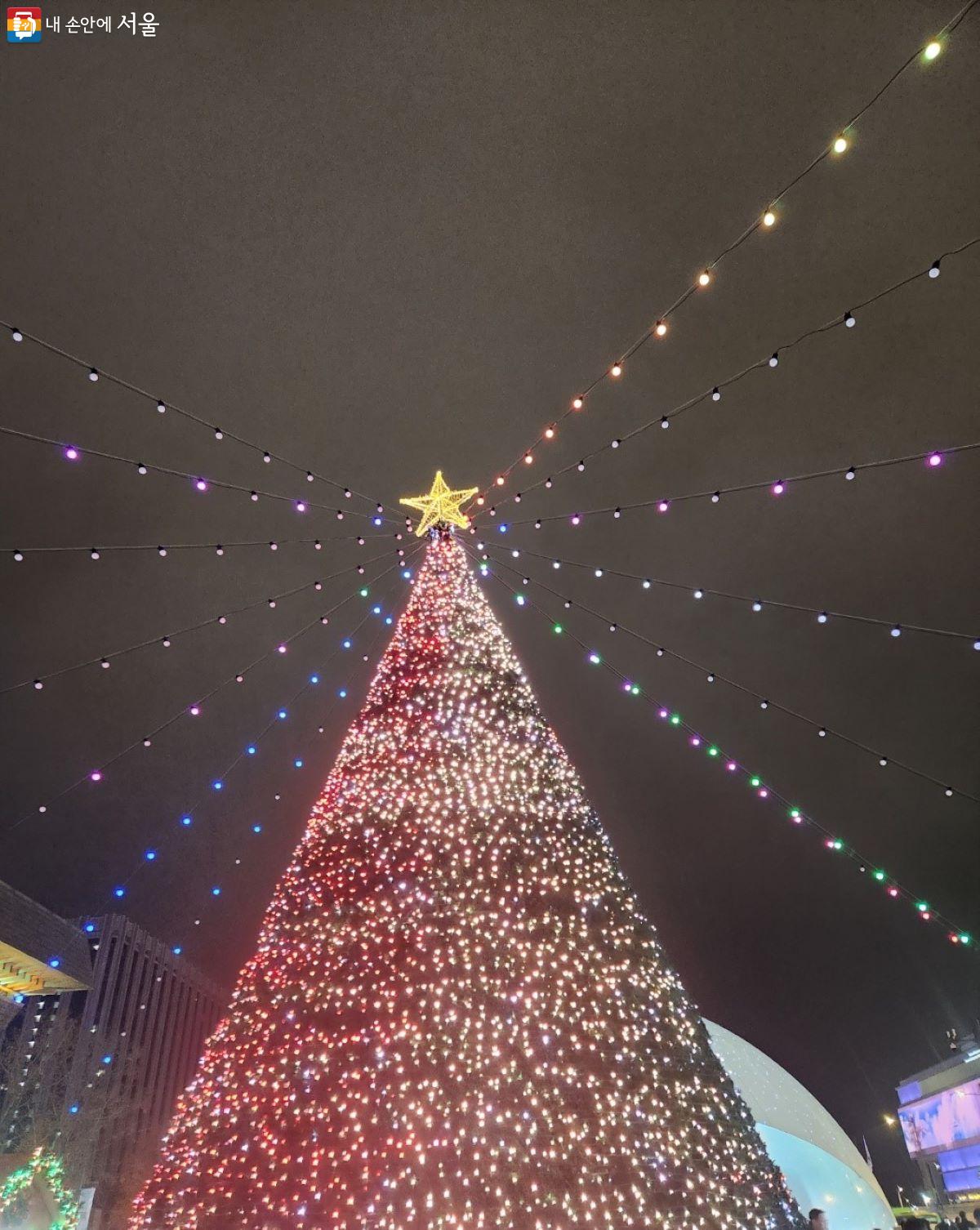 광화문광장 중앙에 대형 크리스마스트리가 반짝이면서 불을 밝히고 있다. ©윤혜숙