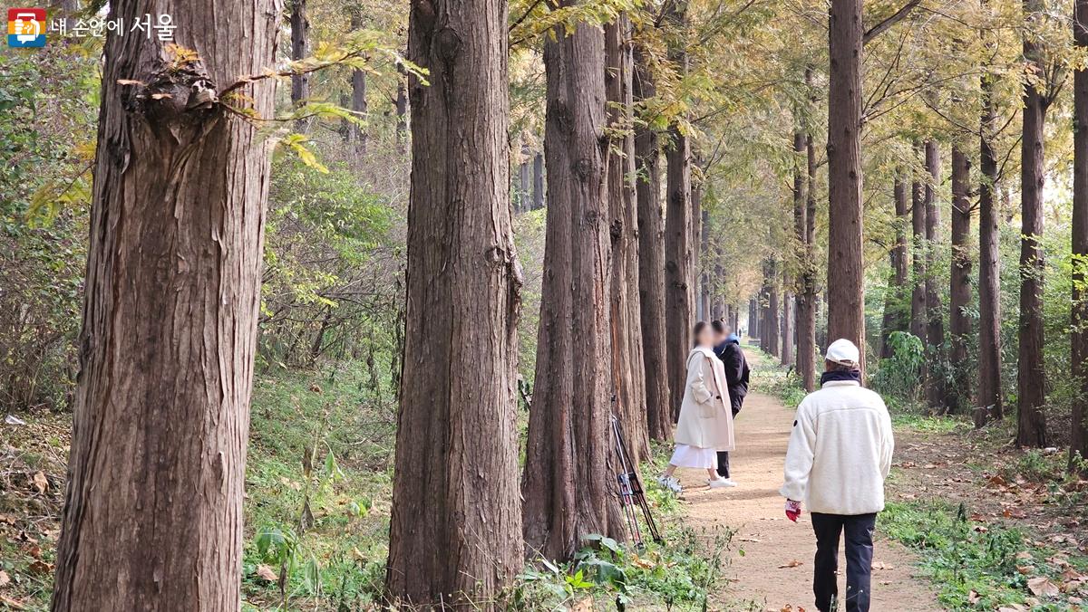 소곤소곤길을 걷고 있는 연인들의 모습 ©최용수