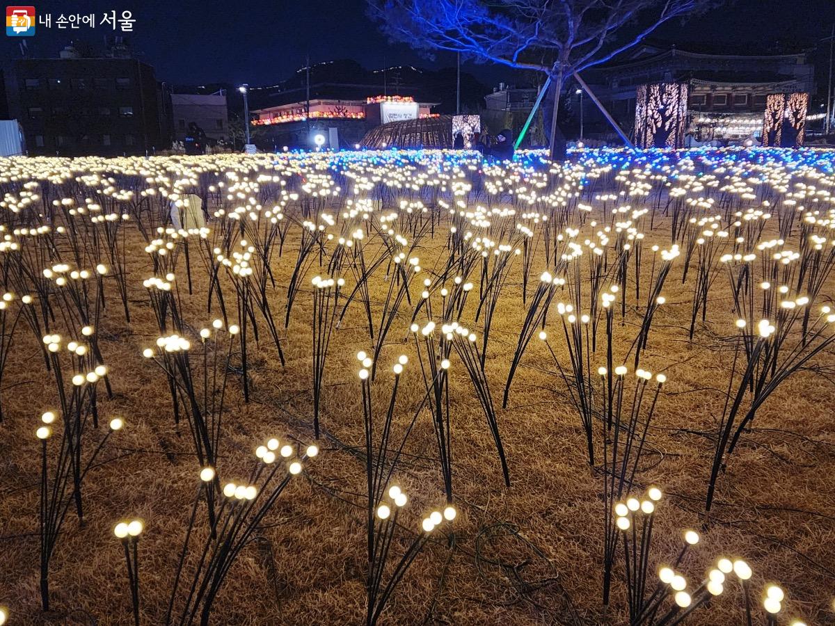 조명등이 꽃처럼 펼쳐진 빛의 길을 따라 걸어보기 좋다. ©김은주