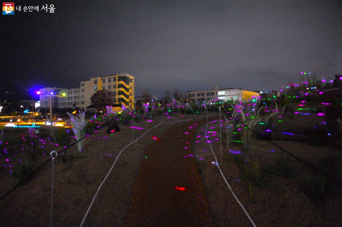 송현광장 ‘빛의 언덕’을 수놓은 반딧불이 조명 ©조수봉