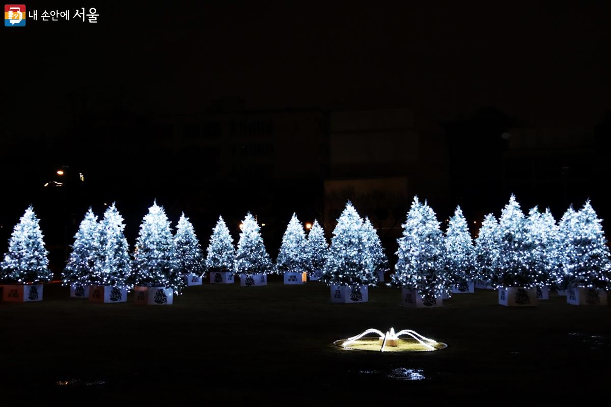 송현동 솔빛축제는 여섯 가지 전시 공간을 통해 관람객들에게 아름다운 순간을 선사한다. ©정향선