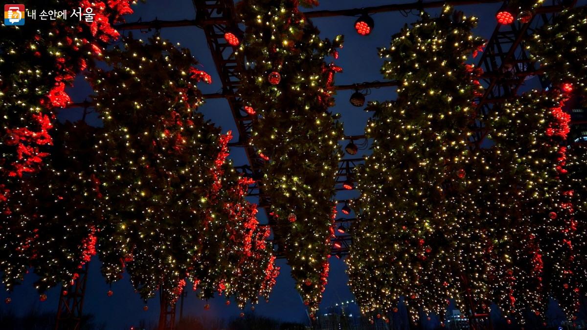‘겨울빛, 윈터라이트’ 전시장 천장에서 크리스마스 트리가 쏟아진다.  ©이선미 
